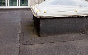 disadvantages of Trefaes flat roofs
